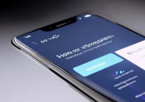 vivo手机闪充不显示怎么调出来？