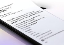 OPPO手机什么佛功能怎么用？设置入口在哪？