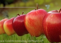 苹果怎么拍会动的图片？拍动态苹果的技巧有哪些？