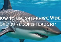 鲨鱼影视缓存功能怎么用？新手操作指南来了！