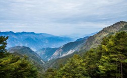 临安西天目山风景区