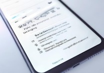 vivo手机快充怎么开启？快充不亮怎么办？