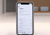 苹果7流量开启后显示不了，是哪里出了问题？