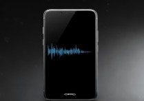 oppo手机黑屏但是有声音