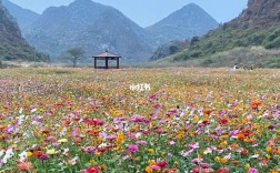 桂林花海景区在哪