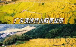 连山欧家梯田旅游攻略，如何规划一次完美的旅行体验？