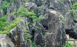 玉石林风景区