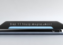 小米11青春版支持扩展内存吗？