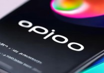 OPPO Reno6 Pro屏幕材质是什么？参数配置如何？