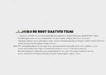 vivox21a怎么root
