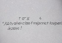 小米mix4支持人脸识别支付吗？