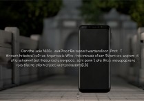 鼎桥 N8Pro 可以防水吗？鼎桥 N8Pro 防水等级是多少支持生活防水吗