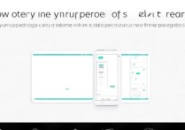 oppo手机内存卡怎么设置才能正常使用？