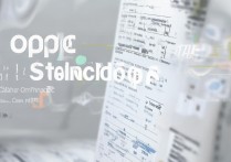 oppo手机市场地位如何？未来发展趋势怎么样？