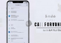 oppo手机怎么设置来电转接？步骤详解教程来了