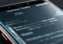 vivo手机内存不够用？怎么扩大内存又不卡机？