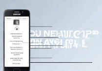 三星C7100双4G手机怎么开启双4G网络功能？