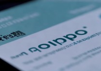 oppo权限设置在哪里