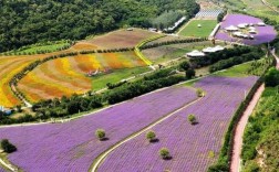 花溪谷风景区