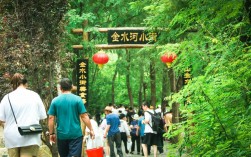 虎山旅游攻略，如何规划一次完美的虎山之旅？