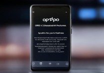 oppo手机辅助功能在哪找？开启/关闭教程步骤详解