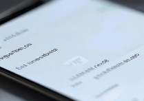 vivo电话设置怎么设置?详细步骤教你怎么操作。