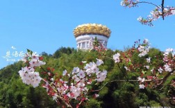 浙江那里好玩的景区