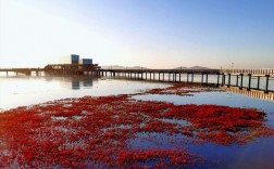 兴城红海滩风景区