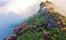 光雾山风景区哪个好耍