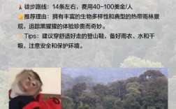 卢旺达旅游攻略，如何规划一次难忘的非洲之旅？