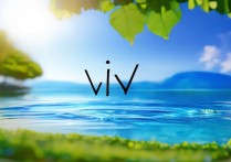 手机壁纸vivo