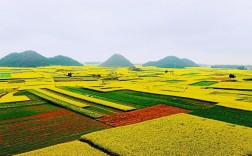 罗平有什么风景区