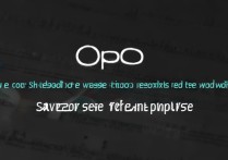 oppo手机开发者选项在哪？开启教程步骤详解