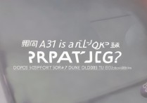 中兴天机A31是5G手机吗？支持双卡双待吗？