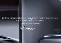 vivo手机一直反复优化