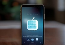 苹果安装app后无法使用是什么原因导致的？