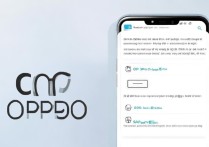 oppo识图功能在哪找？拍照识图步骤是怎样的？