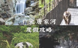 青川唐家河旅游攻略，如何规划一次完美的旅行体验？