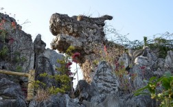 重庆龙鳞石海景区