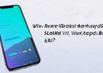 vivo共享WiFi密码错误怎么办？解决方法在这里