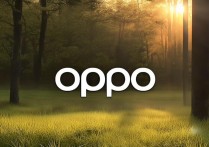 oppo手机锁屏壁纸