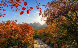 社姆山风景区门票多少