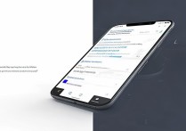 vivoy27怎么开开发者选项？找不到入口怎么办？