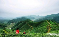 湖州驾云风景区好玩吗