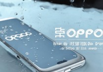 手机进水怎么办oppo，OPPO手机进水了正确处理方法