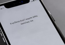 苹果 X 怎么向左滑就返回，全面屏手势左滑返回设置方法