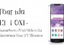 vivoX7P怎么删除机带软件，vivo手机自带软件哪些可以卸载