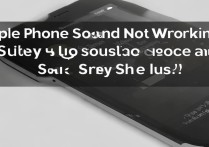 苹果手机外放没声音怎么办？3步教你快速排查解决！