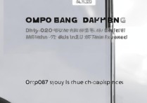 OPPO8207日常使用体验如何？值得入手吗？