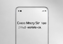 vivoy66l怎么看内存大小及剩余空间？